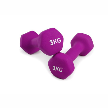 Hot Sale 3kg Dumbbell for Home Fitness & Gym